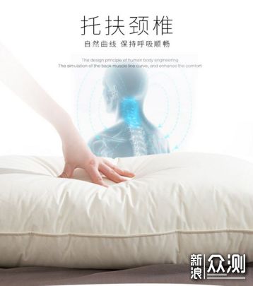 羽絨產品怎么選 四款鵝絨枕橫評盡在此篇