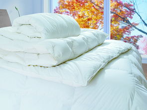 第十五屆中國羽絨制品及服裝服飾博覽會暨首屆蕭山國際羽絨節(jié)