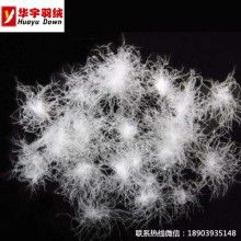 安新縣華聯羽絨制品廠 羽絨與羽毛制品的專業加工