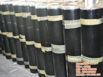 sbs防水卷材優(yōu)點(diǎn) 十堰sbs防水卷材 寶龍防水材料